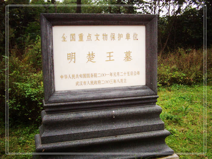 dsci0019.jpg