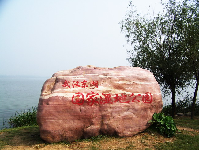 100_4107.jpg