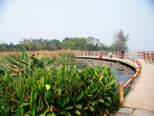 100_4127.jpg