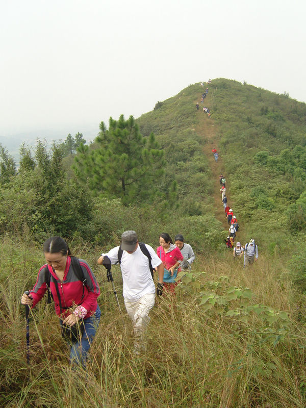  snc10019.jpg