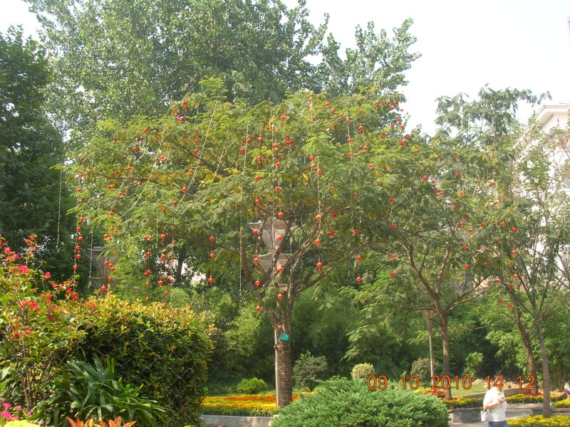 dscn4193.jpg