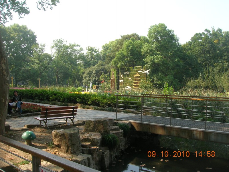 dscn4208.jpg