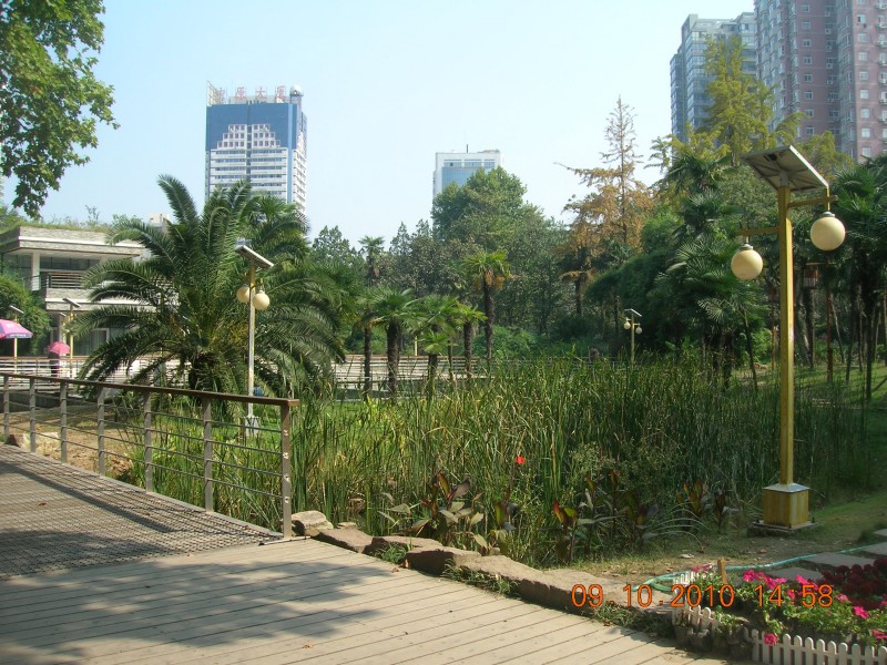 dscn4209.jpg