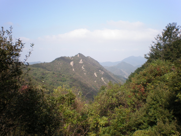 20101024_29.jpg