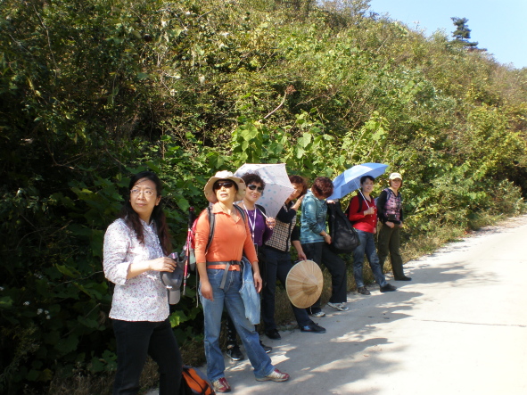 20101024_20.jpg