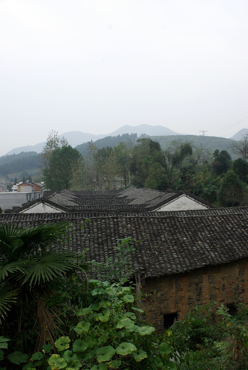 imgp6567.jpg