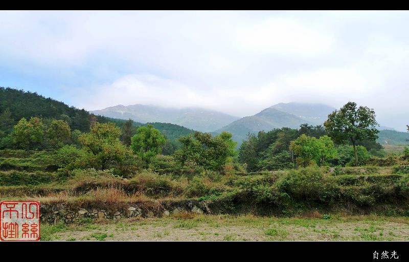 l1150701.jpg