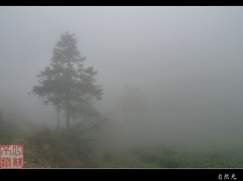 l1150779.jpg
