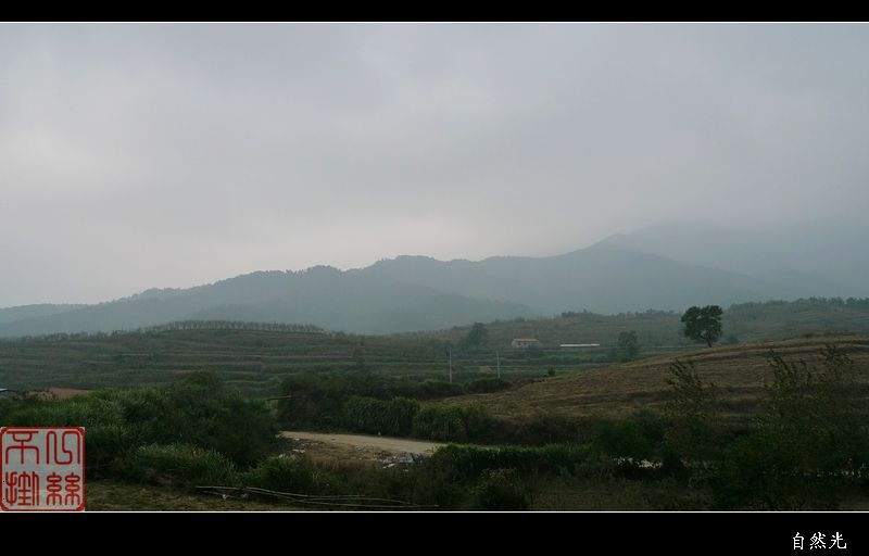 l1150841.jpg