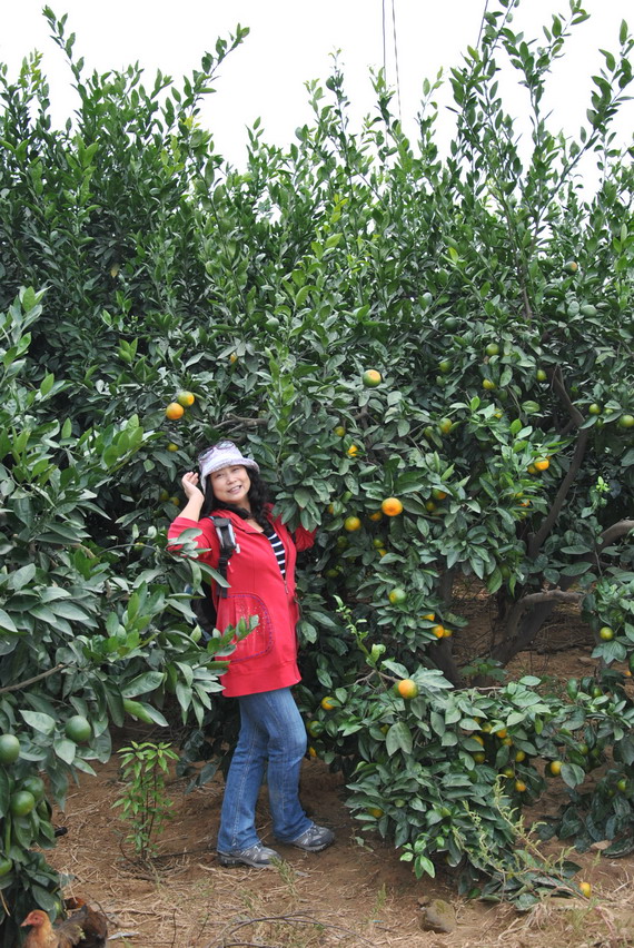 dsc_4033.jpg