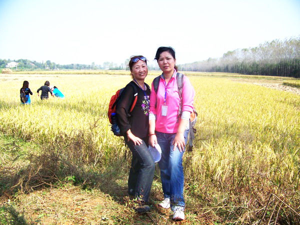 100_4317.jpg