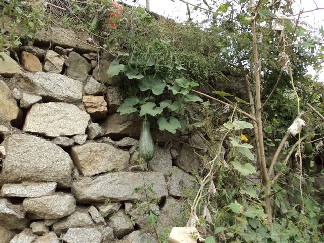 dsc05509.jpg