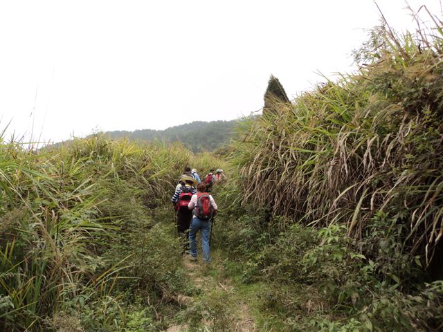 dsc05527.jpg