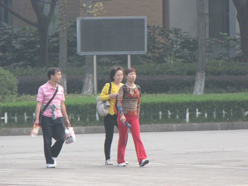 img_1900_neo_img.jpg