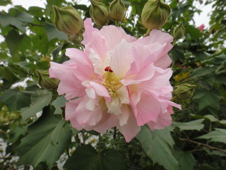 dsc05134.jpg