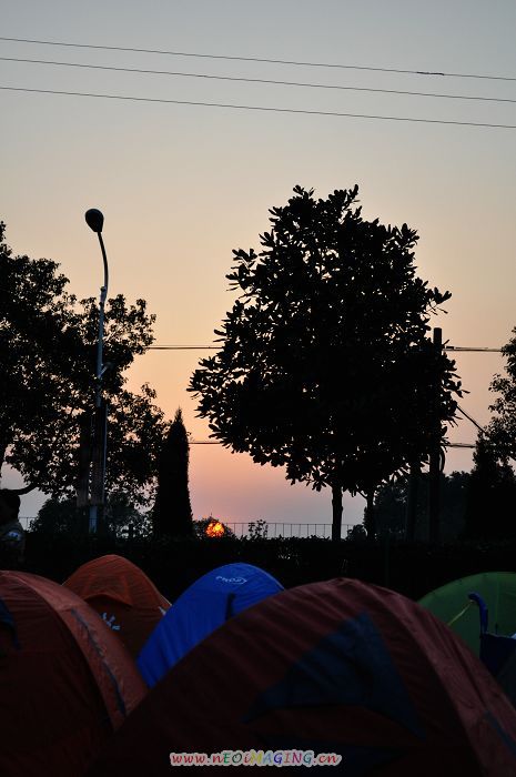dsc_0101.jpg