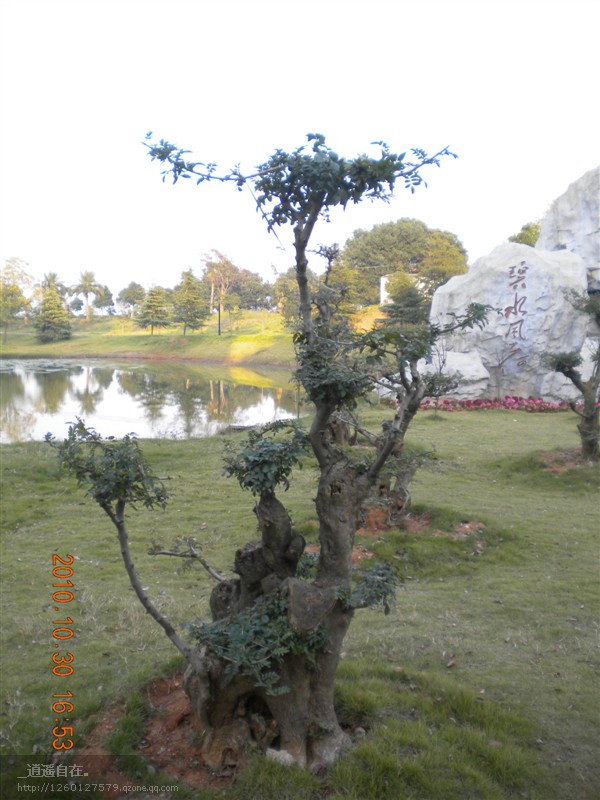 04.jpg