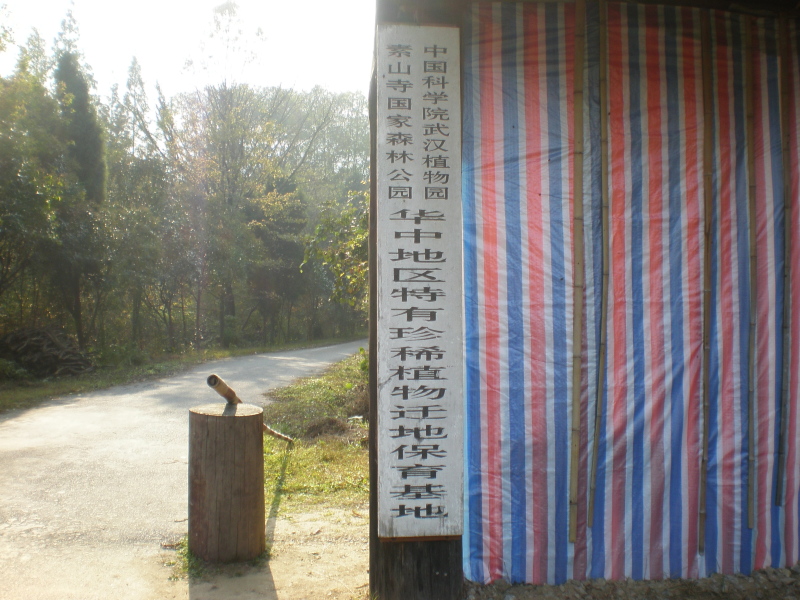 20101031_130.jpg