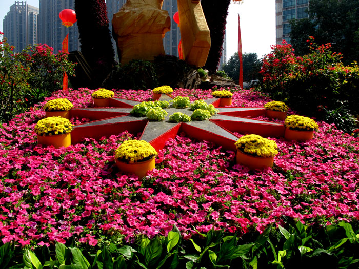 yuen 330.jpg