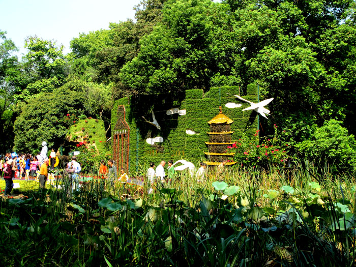yuen 355.jpg