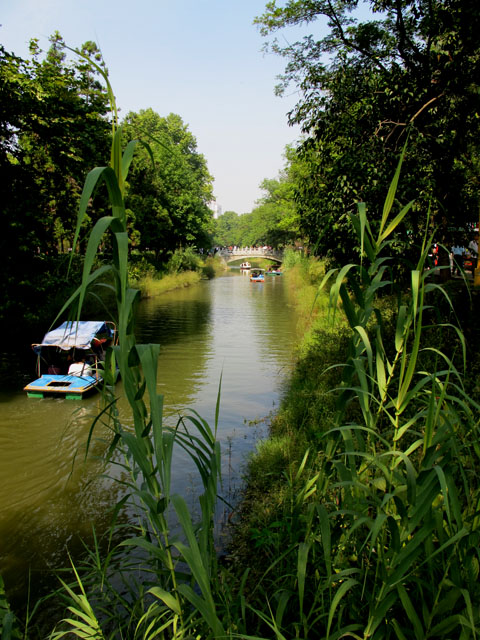 yuen 362.jpg