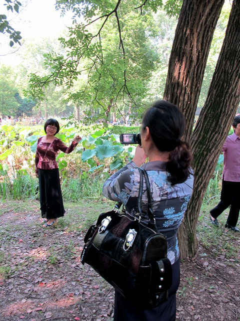 yuen 377.jpg