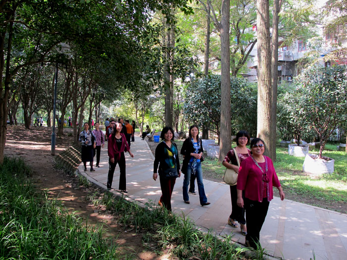 yuen 386.jpg