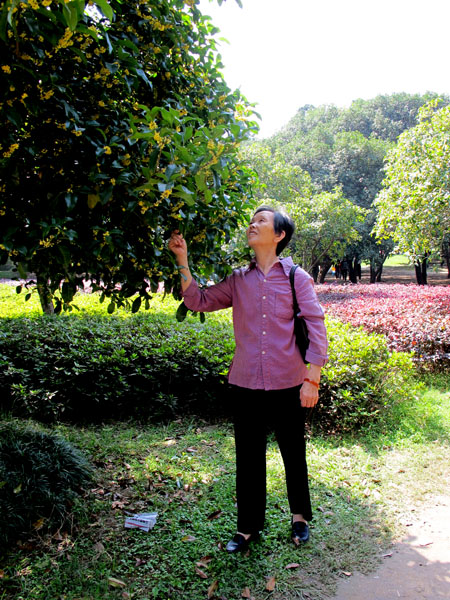 yuen 385.jpg