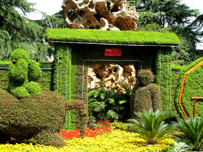 yuen 416.jpg