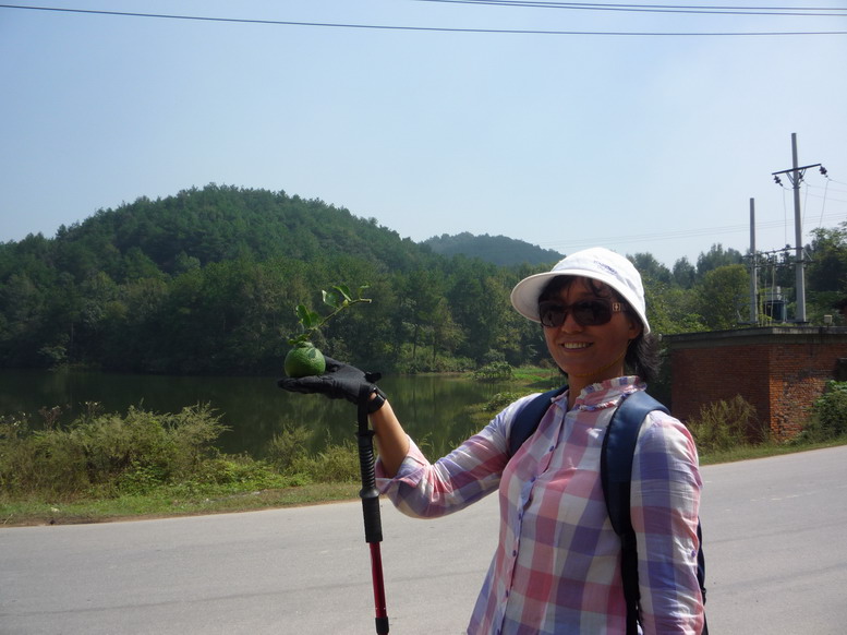 p1020449.jpg
