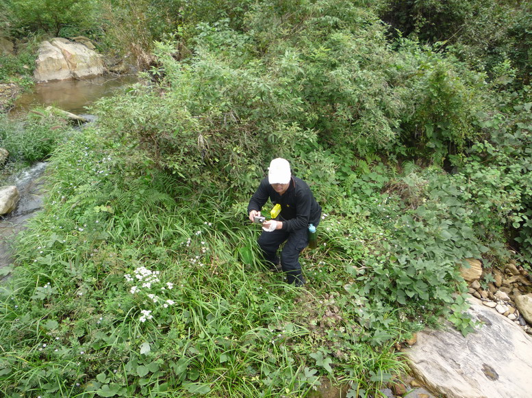 p1020413.jpg