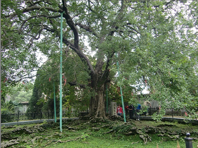95.jpg