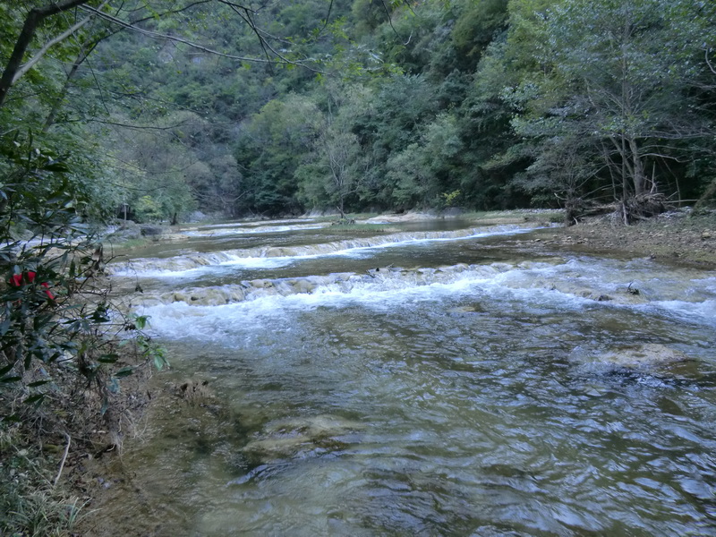 cimg0858.jpg