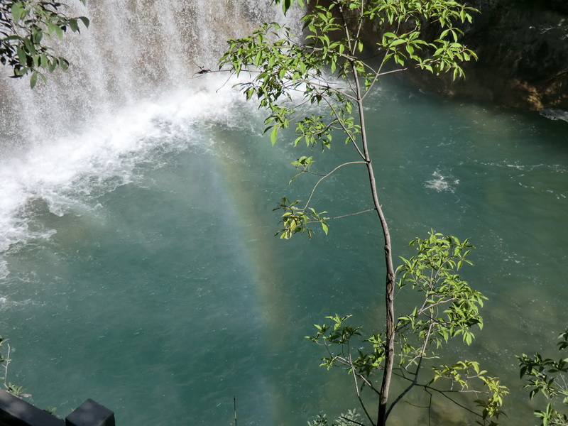 cimg0705.jpg