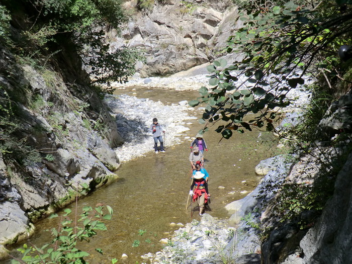 cimg0745.jpg