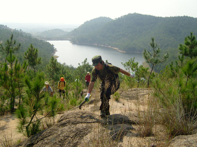  snc10012.jpg