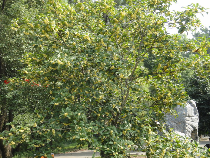 dsc03593.jpg