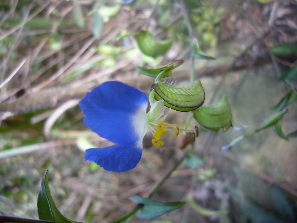 Ʒ4.jpg