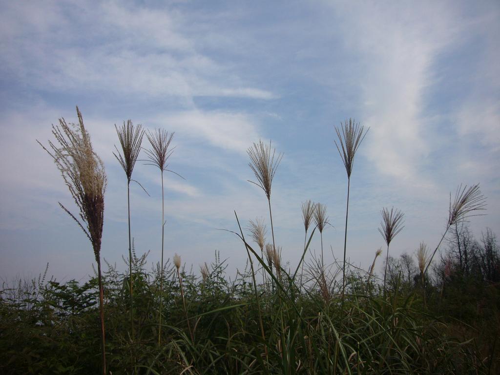 Ʒ6.jpg