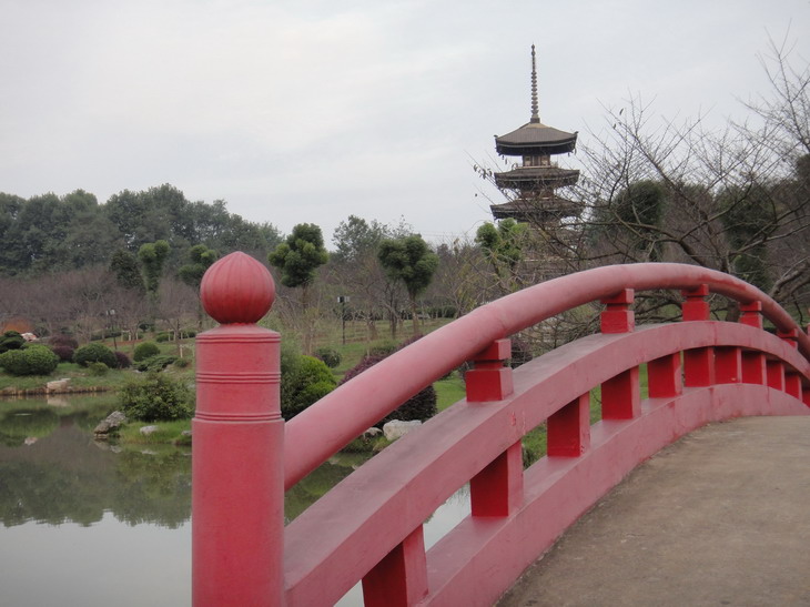 dsc03127.jpg