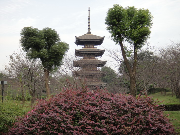 dsc03114.jpg
