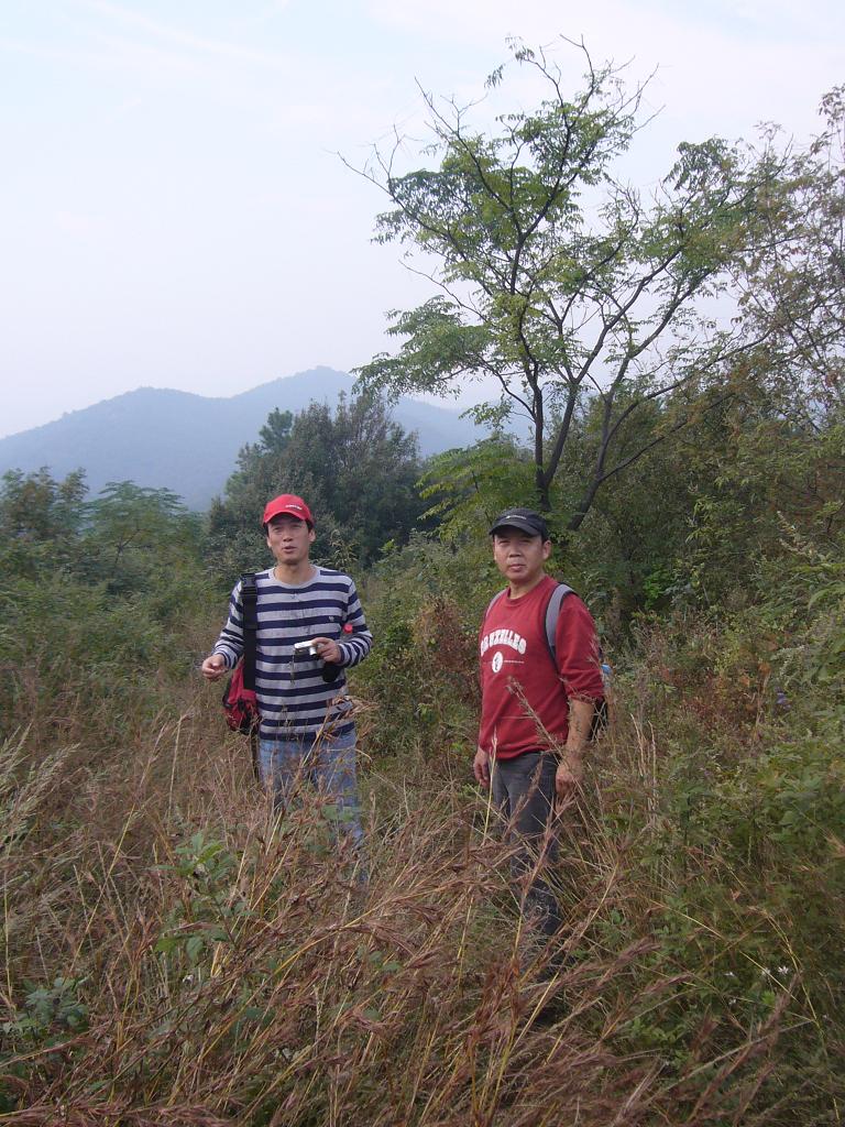 Ʒ15.jpg