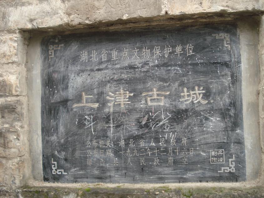 17321620.jpg