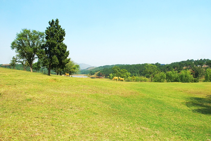 dsc_0012.jpg