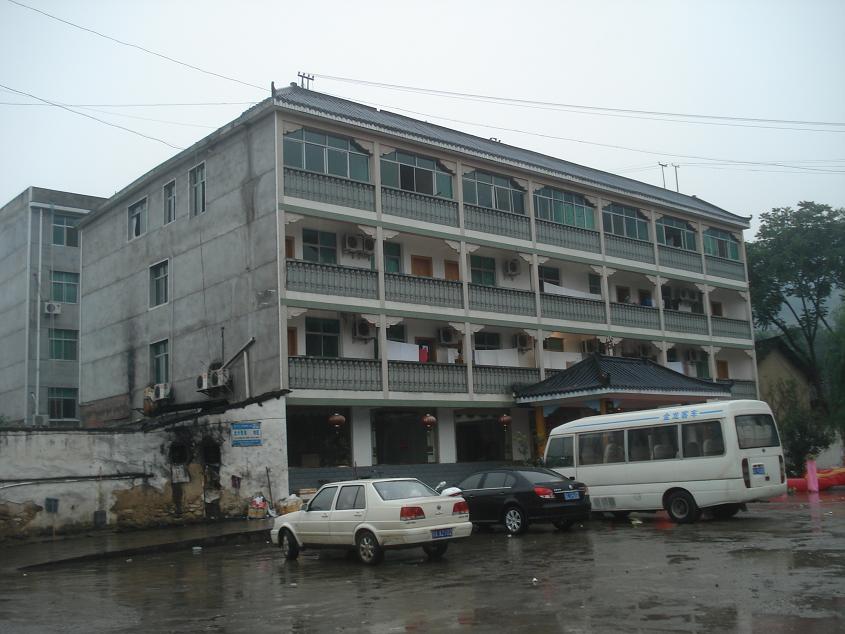 17331684.jpg