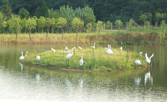 dsc_0195.jpg