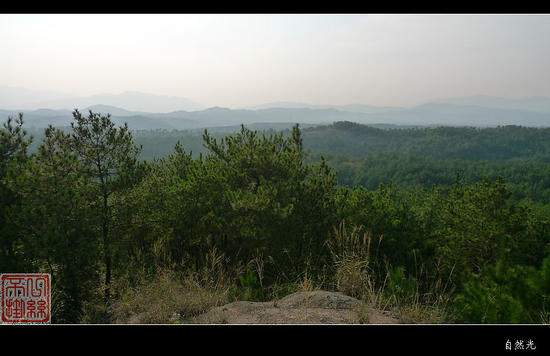 l1150394.jpg
