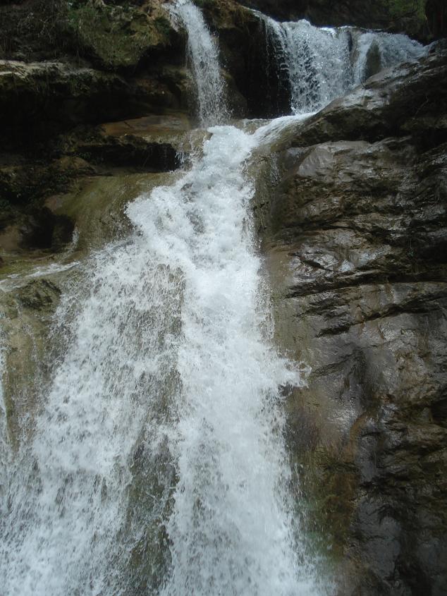 dsc02943.jpg