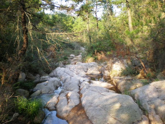 20101005_61.jpg