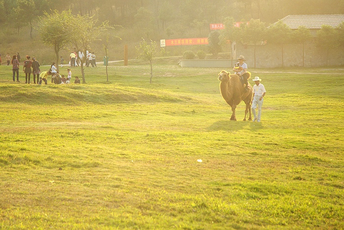 dsc_0223.jpg